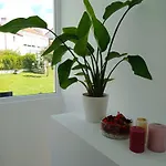Lar Jardin - Casas Independientes Con Parking Privado * 산티아고데콤포스텔라