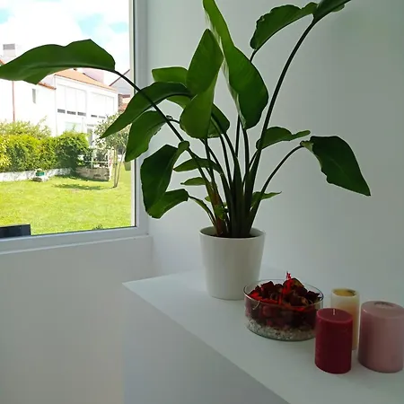 Lar Jardin - Casas Con Parking Privado * 圣地亚哥－德孔波斯特拉