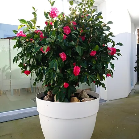 Lar Jardin - Parking Privado *