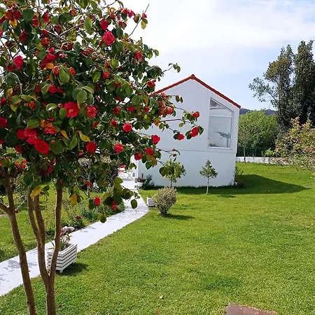 Lar Jardin - Casas Independientes Con Jardin Y Parking Privado Daire Santiago de Compostela