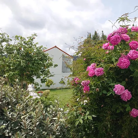 Lar Jardin - Casas Independientes Con Jardin Y Parking Privado Daire *