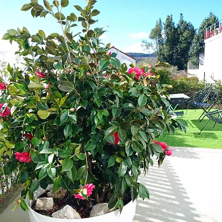 Lar Jardin - Casas Independientes Con Jardin Y Parking Privado * Santiago de Compostela
