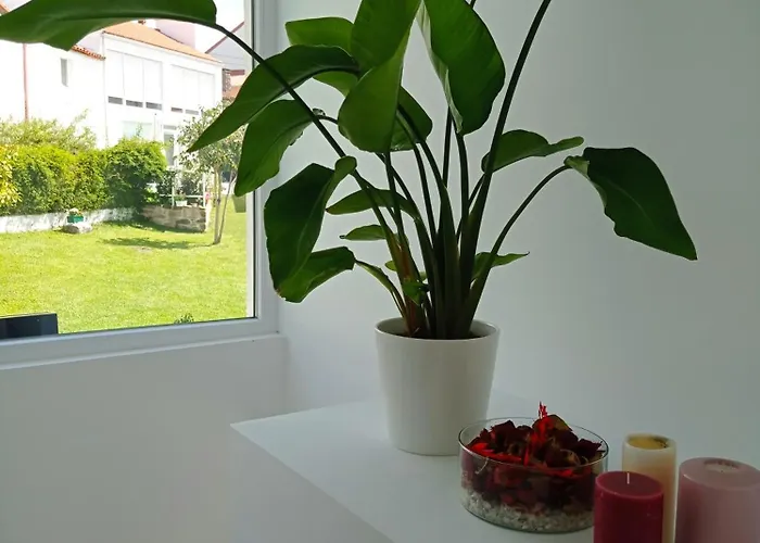 Lar Jardin - Casas Independientes Con Parking Privado * サンティアゴ・デ・コンポステーラ